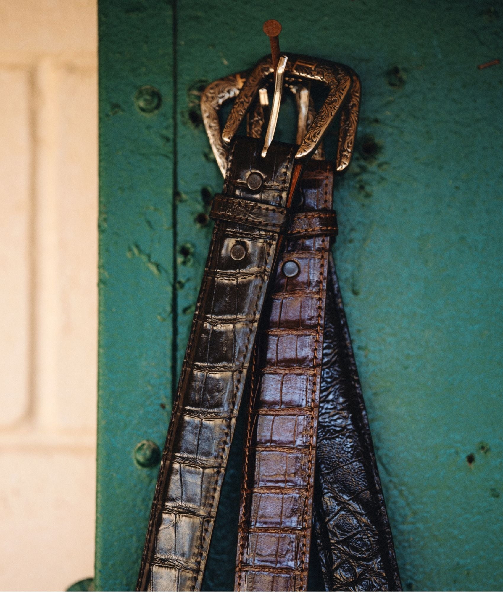 Ultra Belly Caiman :: Black - Image 6