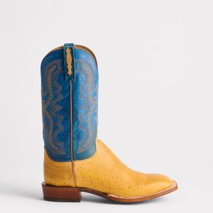 Cecil Exotic :: Saddle