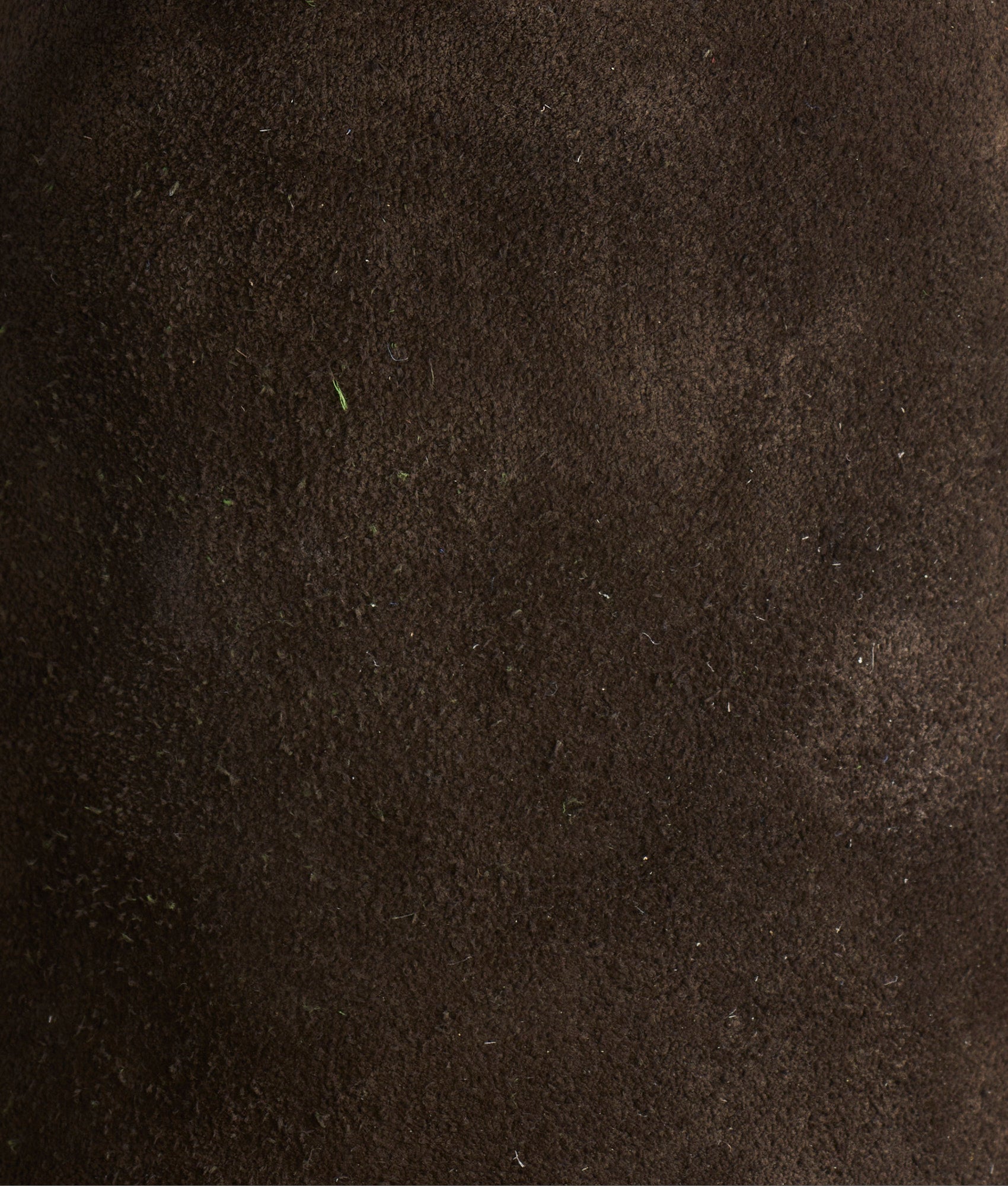 Stead :: Olive + Leaf - Image 7