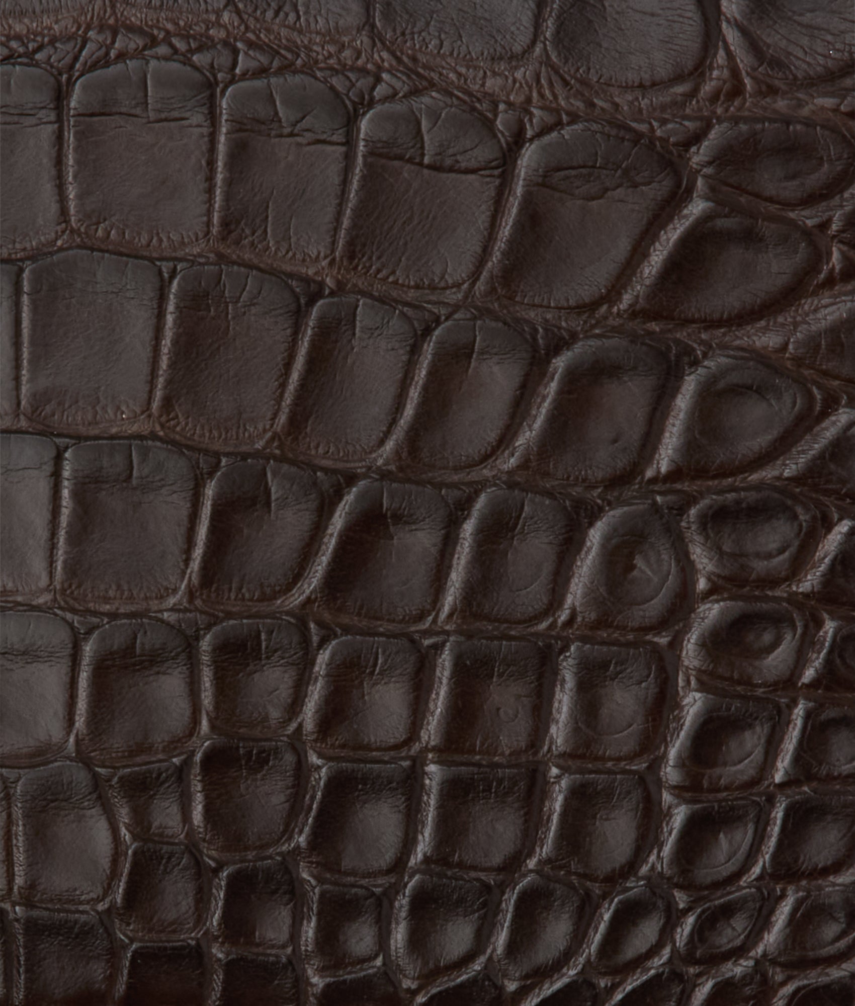 Hipster Wallet - American Alligator :: Chocolate - Image 4