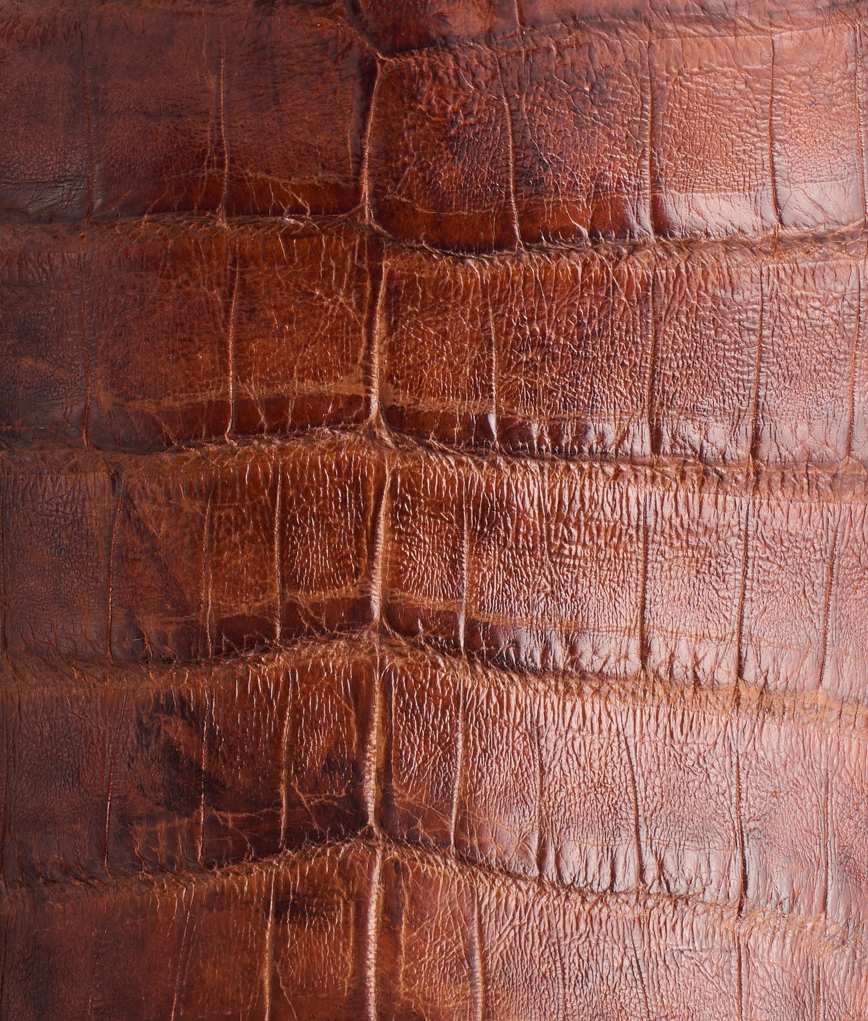 Charles :: Sienna + Dark Brown - Image 7