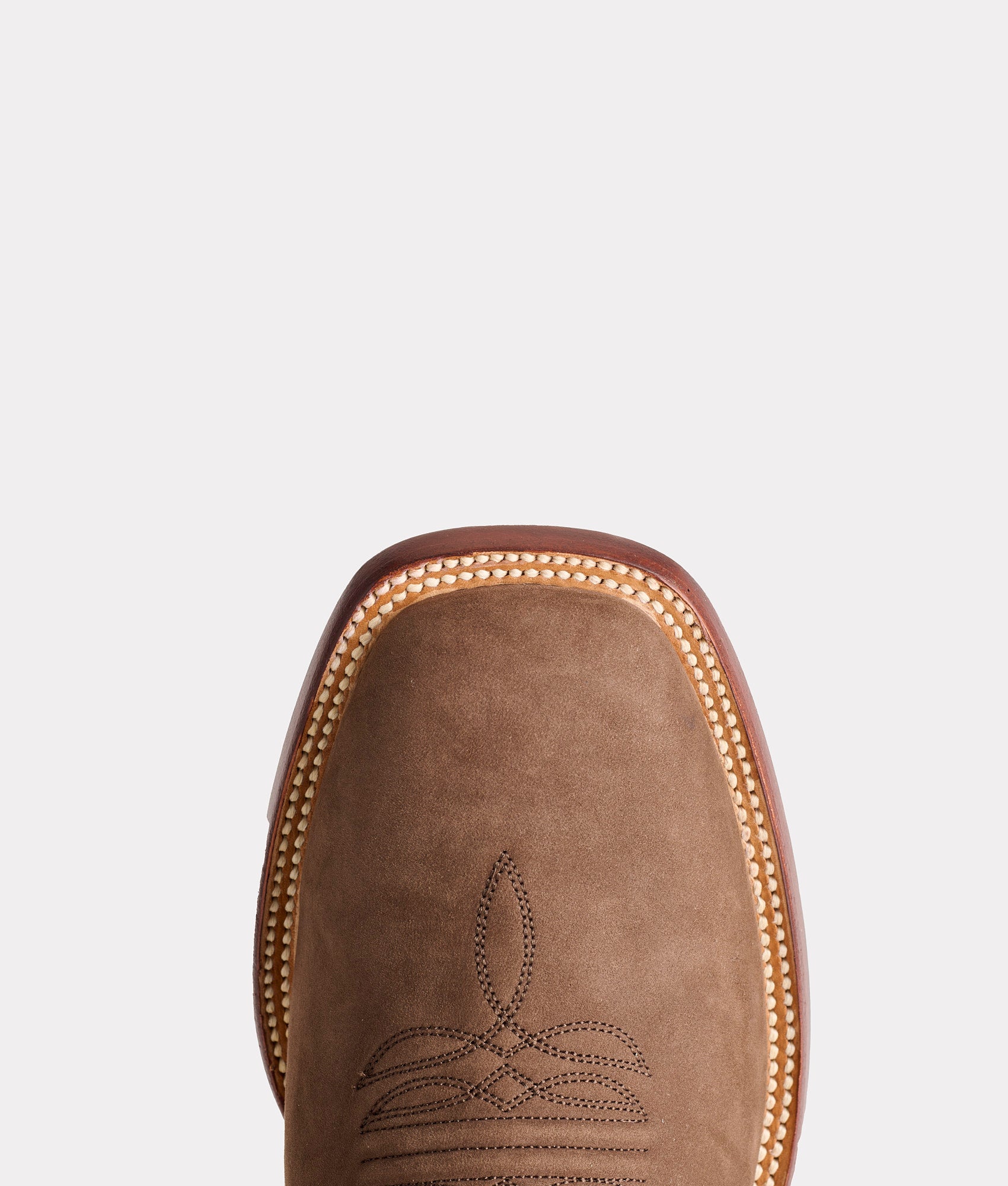 Gordon :: Chocolate - Image 7