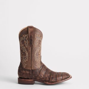 Malcolm :: Chocolate + Caf?? Brown