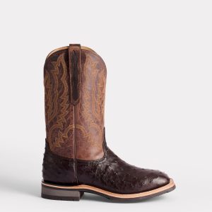 Rowdy Ostrich :: Antique Chocolate