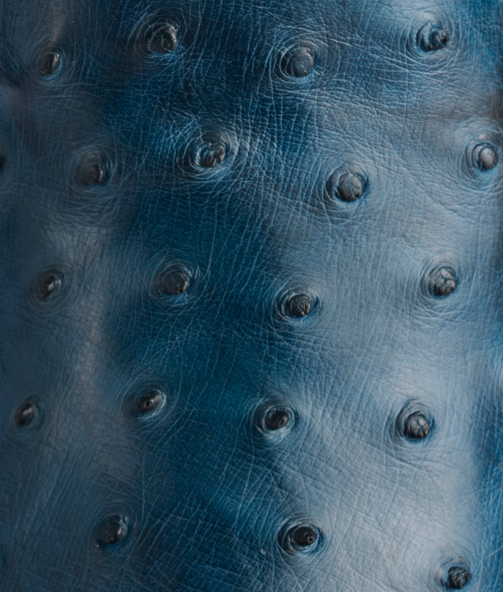 Elgin :: Navy + Black - Image 16