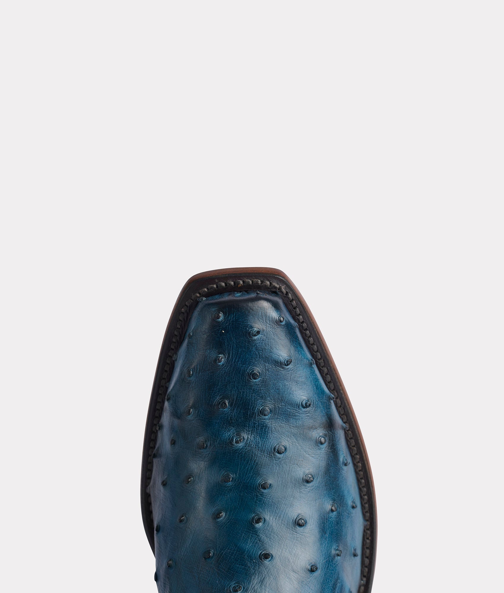 Elgin :: Navy + Black - Image 15