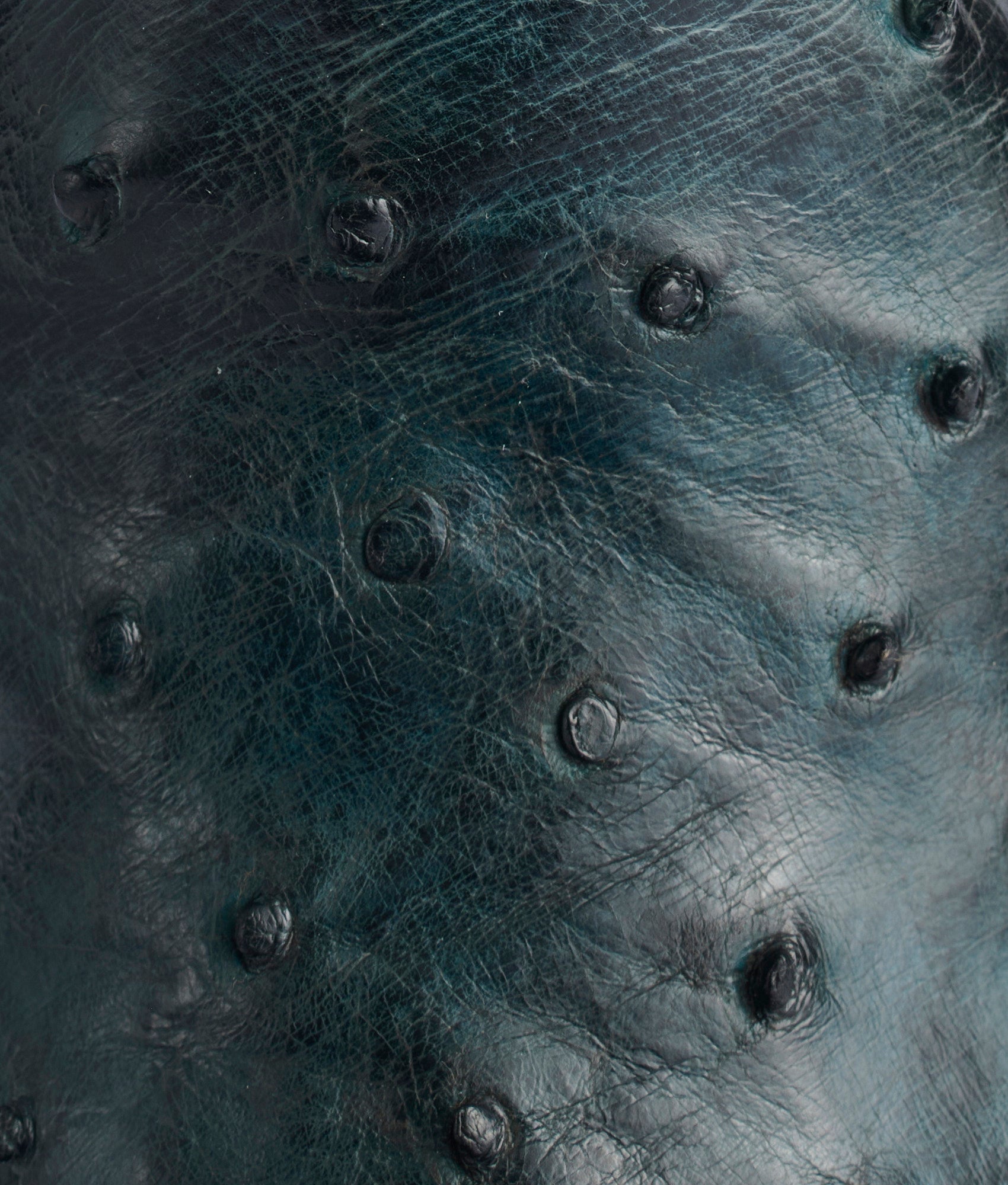 Elgin :: Navy + Black - Image 8