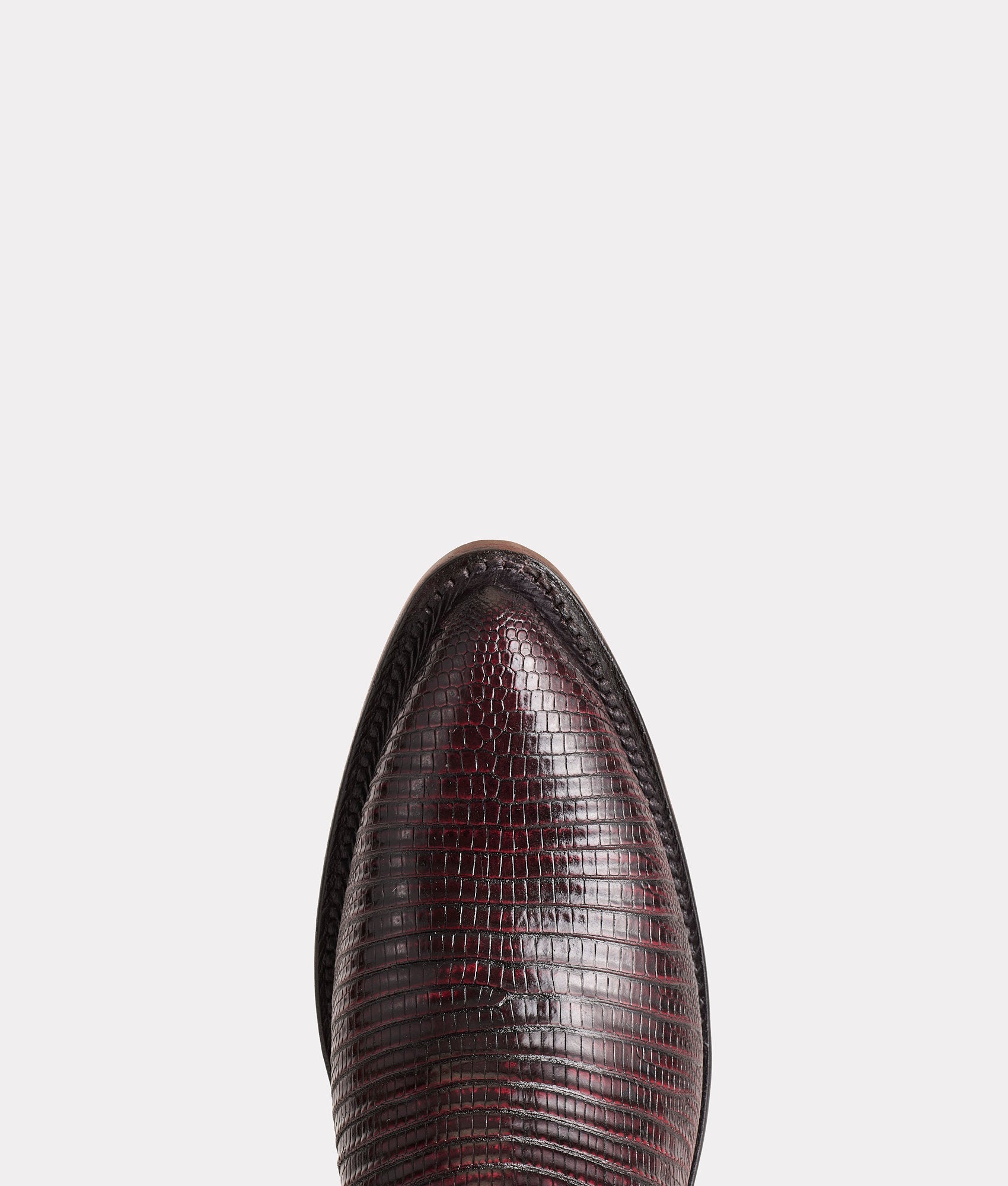 Priscilla Exotic :: Black Cherry - Image 8