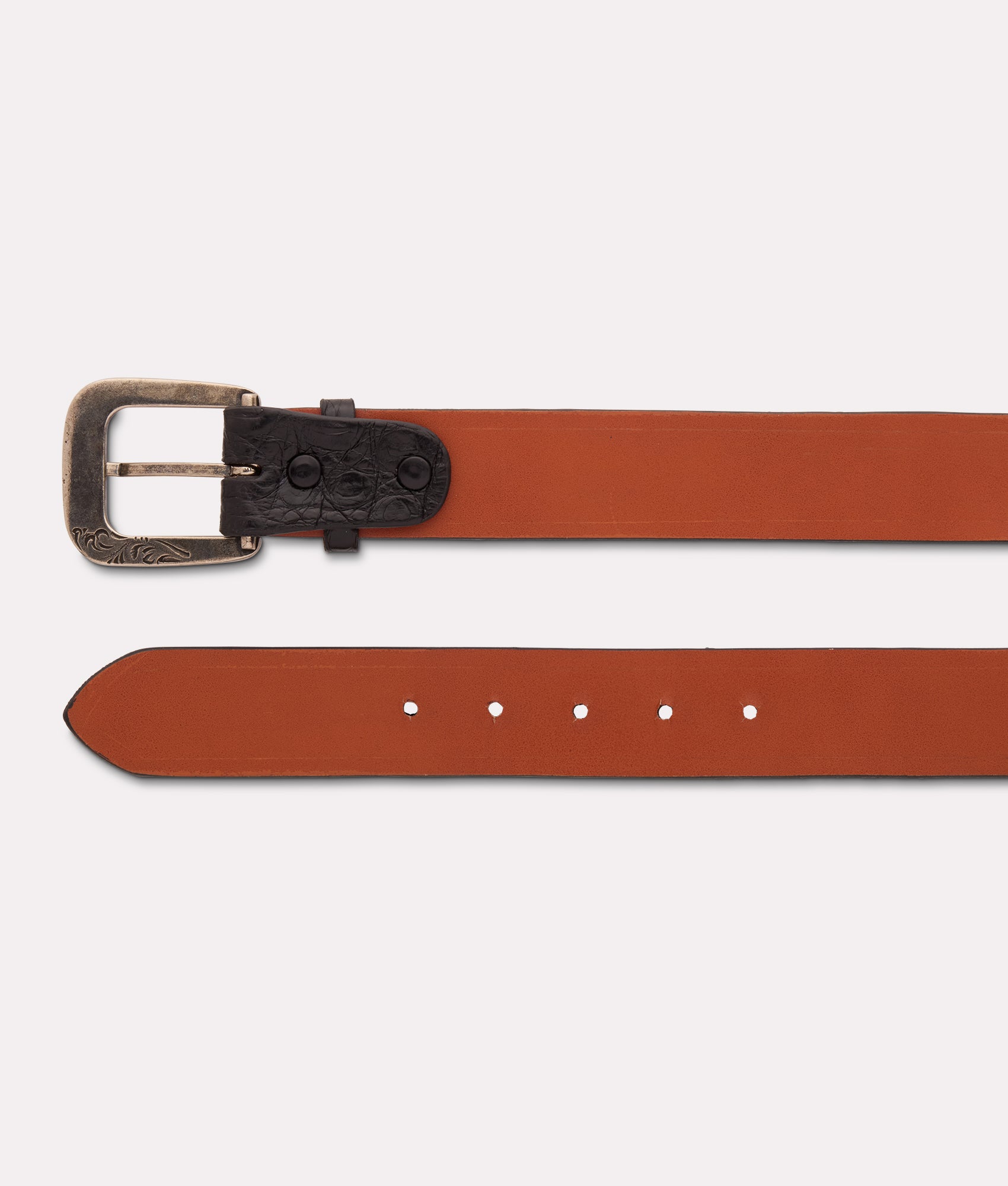 Ultra Belly Caiman :: Black - Image 7