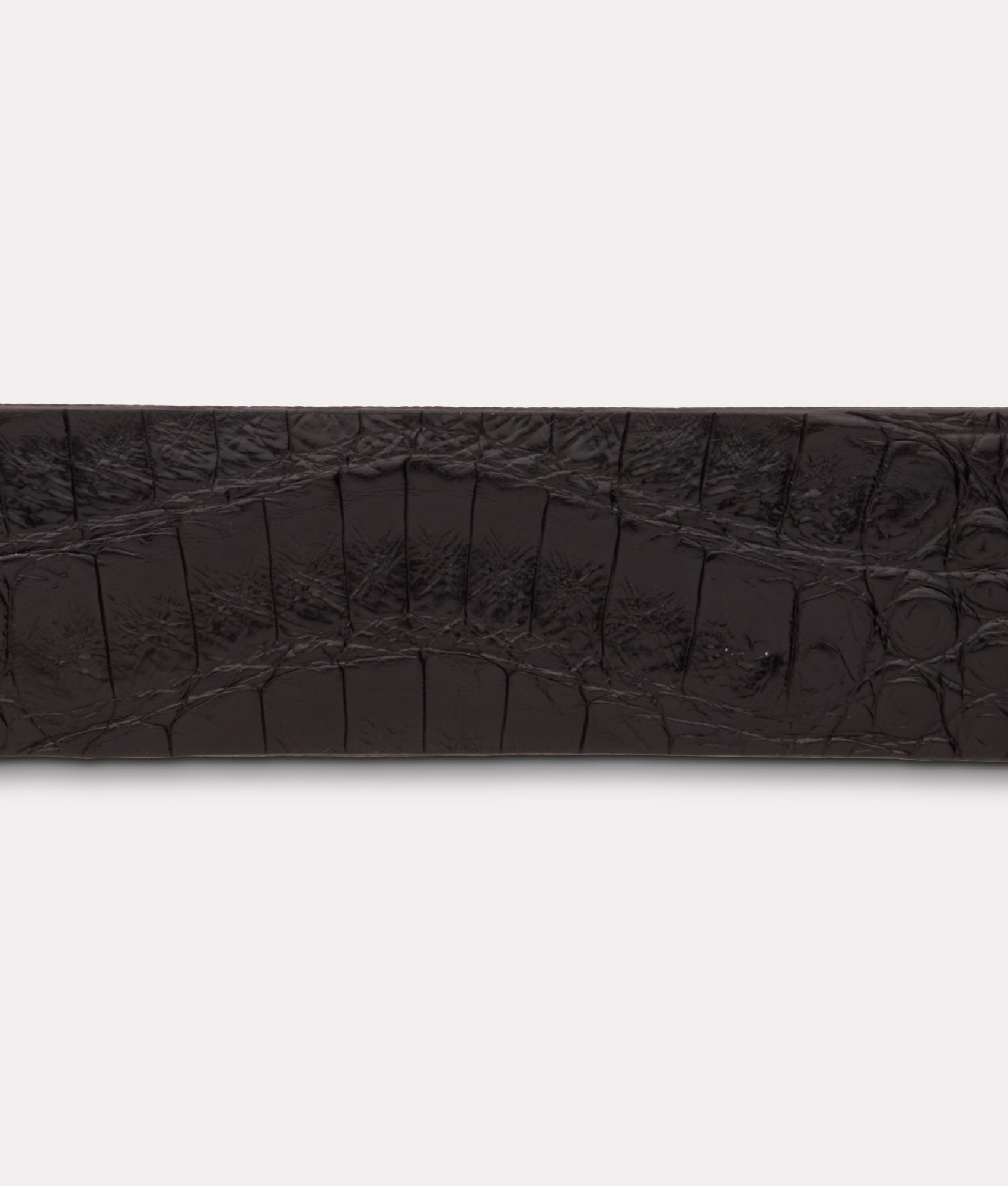 Ultra Belly Caiman :: Black - Image 8